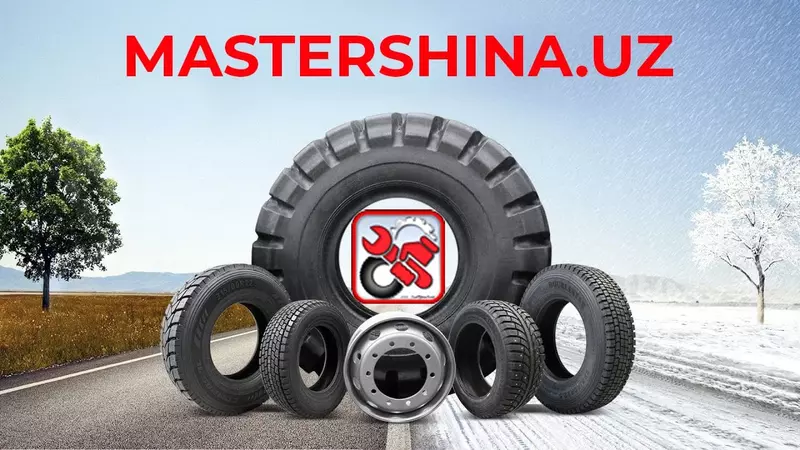 MASTERSHINA
