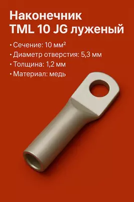 Наконечник ТМЛ 10 JG луженый короткий