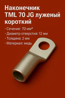 Наконечник ТМЛ 70 JG луженый короткий