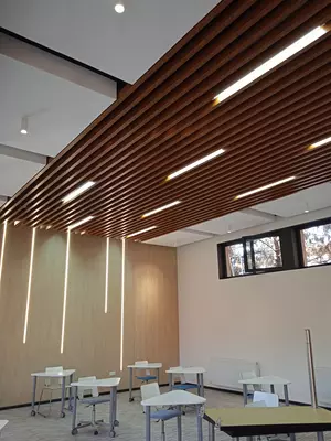 Reechniy potolok Agraf steel