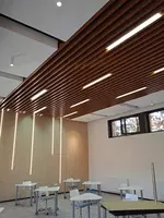 Реечный подвесной потолок Agraf steel