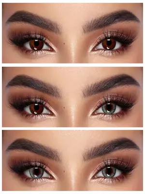 BSO-01 WARM GRAY  0.00 2Ps СЕРЫЕ контактные линзы