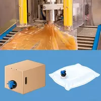 по запросу Асептическое и неасептическое оборудование розлива в пакеты / мешки bag-in-box от 1 до 1000 л