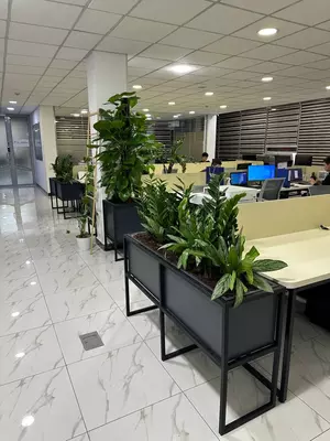 Профессиональное озеленение от Gallery Flower