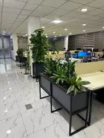 по запросу Профессиональное озеленение от Gallery Flower