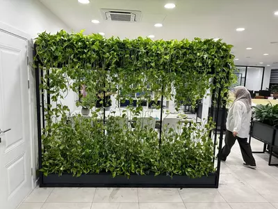 Профессиональное озеленение от Gallery Flower