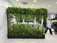 Профессиональное озеленение от Gallery Flower Только в розницу