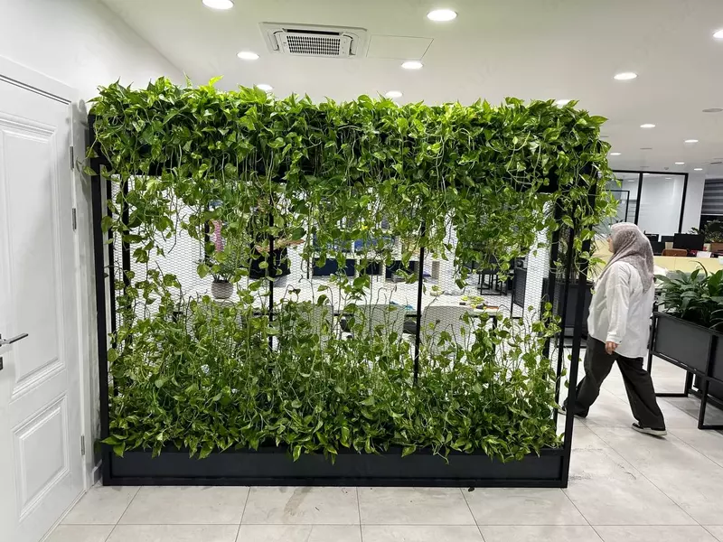 Профессиональное озеленение от Gallery Flower Только в розницу