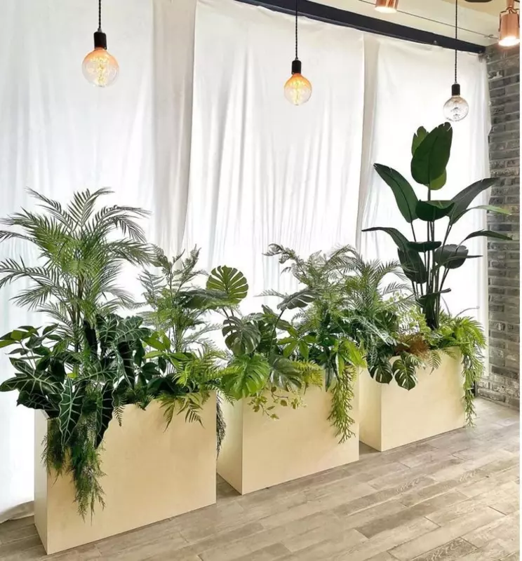 Gallery flowers - Профессиональное озеленение от Gallery Flower