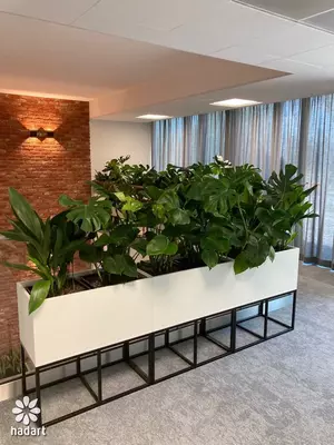 1 100 000 сум / шт. Индивидуальное изготовление кашпо на заказ!