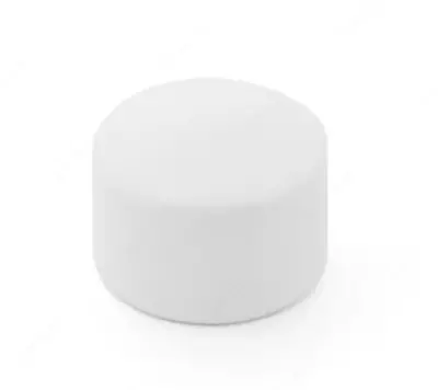 Заглушка PPR "РосТурПласт" D63 мм