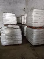 по запросу YARA TERA KRISTA MgS