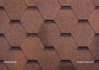  Tom cherepitsalari - 