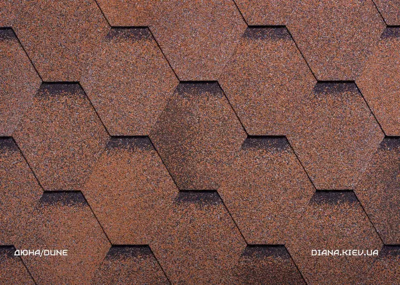  Tom cherepitsalari - 