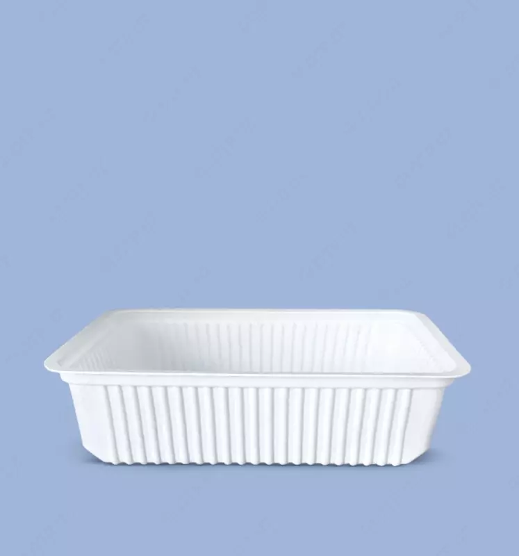 Контейнер одноразовый