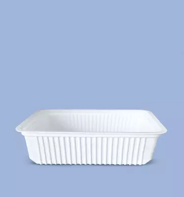 Контейнер одноразовый