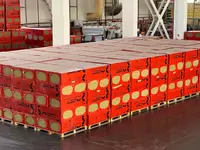   Каменная вата THERMO PLUS