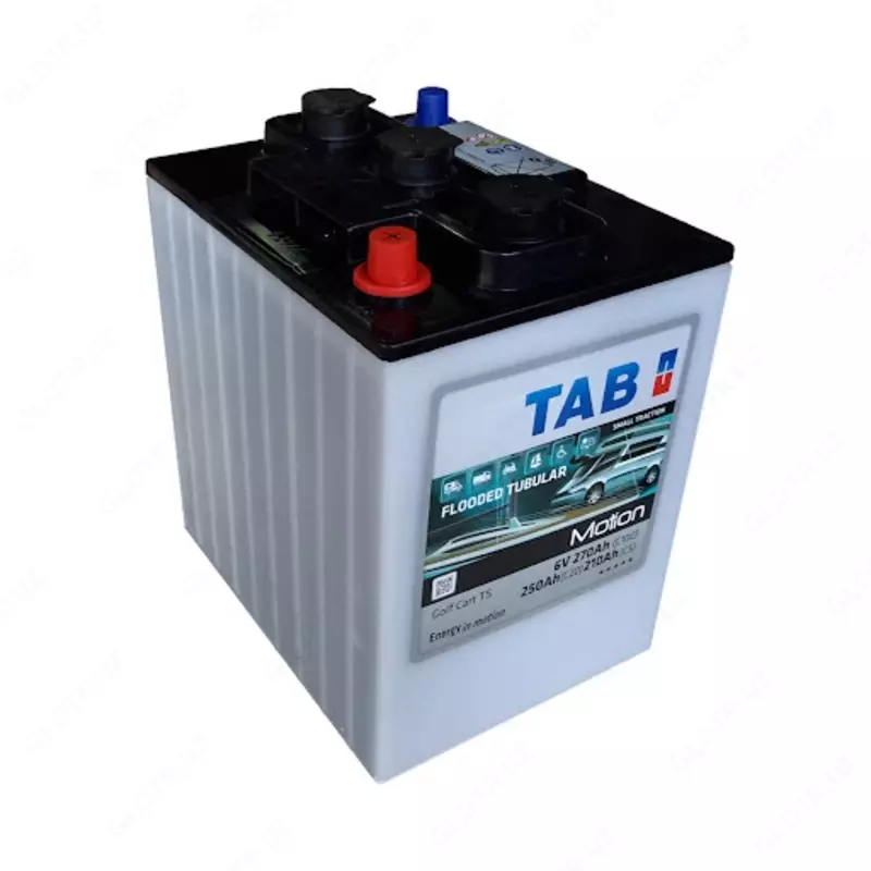 Тяговые аккумуляторы моноблоки 6В