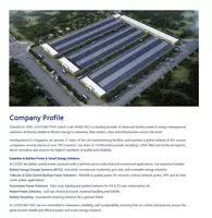  Литий-ионный тяговый аккумулятор 48V 150/188Ah для гольф-каров ООО MAXCELLON