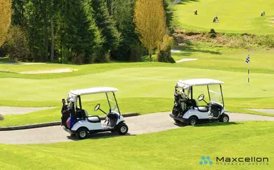 Литий-ионный тяговый аккумулятор 48V 150/188Ah для гольф-каров