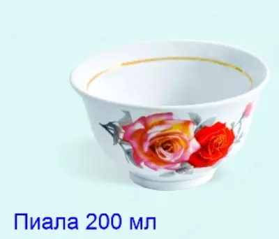 Aslnafis chinilari - aslnafis.uz