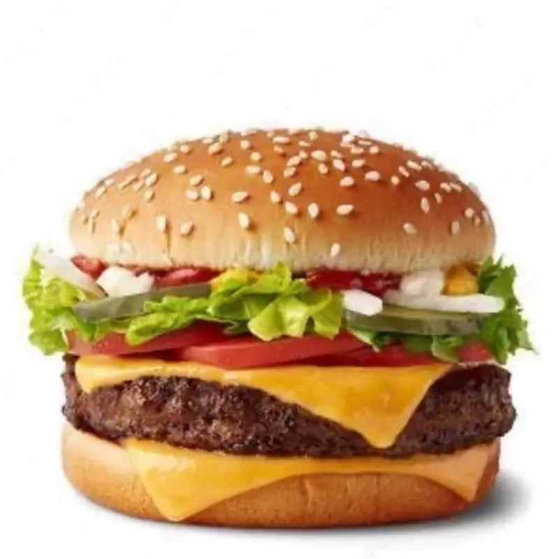 Burger lavash hod dog maketlari yasab beriladi Marojniy maketlar sotiladi Va yasab beriladi