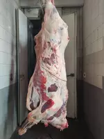 Go‘sht Mol go‘shti Halal Ukraina