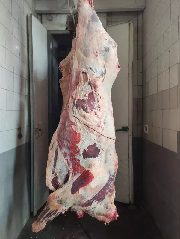 Go‘sht Mol go‘shti Halal Ukraina