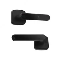 Elektron qulf - Entryx