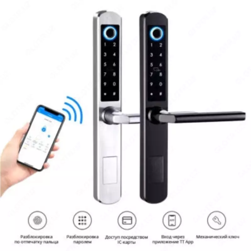 Entryx - Elektron qulf