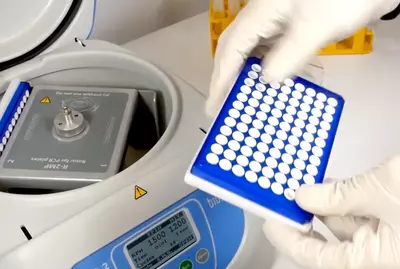 CVP-2 — центрифуга-вортекс для ПЦР-планшетов ANALYTIC LAB MCHJ
