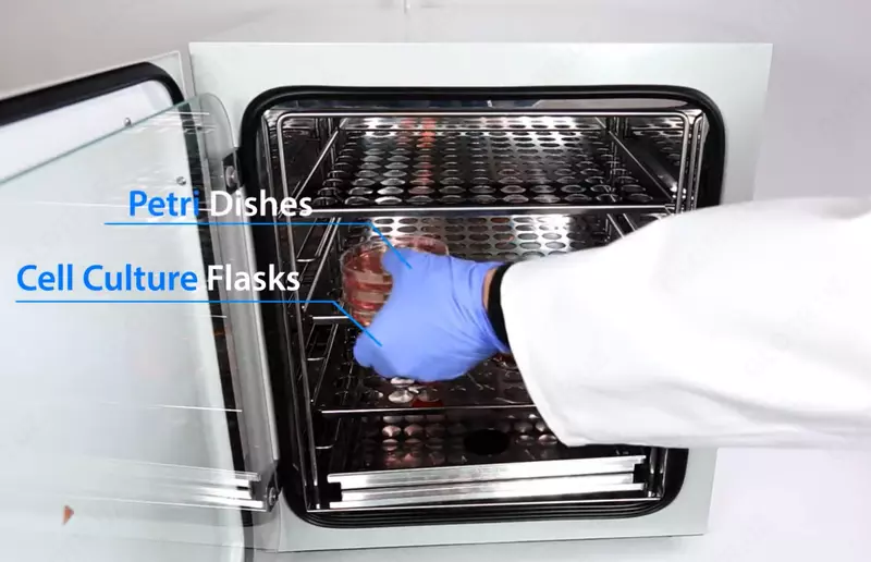  S-Bt Smart Biotherm — kompakt CO₂ inkubator Chakana savdo