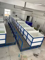 по запросу Универсальная гальваническая линия