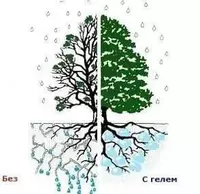 85 000 сум Гидрогель «Аgrogel Green»