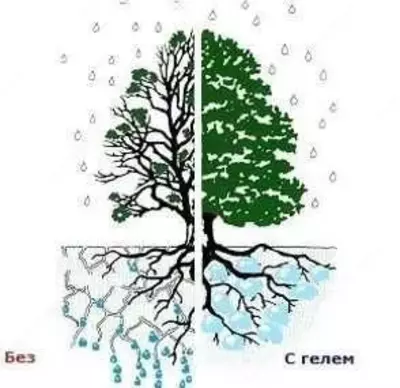 85 000 сум / кг Гидрогель «Аgrogel Green»