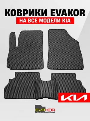 Авто коврики EVAKOR