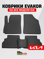 Авто коврики EVAKOR