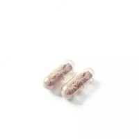 IMMUNOCOMPLEX BIOTACT HEALTHY LIFESTYLE