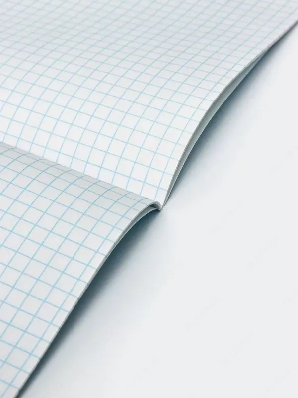 Тетрадь в клетку Mohina STORE