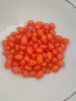 Годжи (дереза) — лекарственное растение. Только в розницу