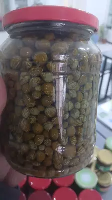 Кавар — это ягодоподобный плод с лекарственными свойствами.