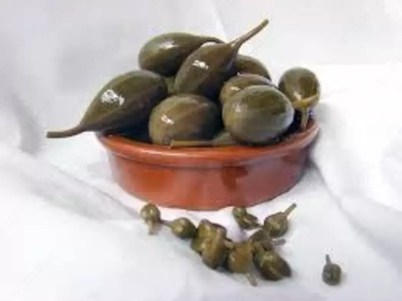 Кавар — это ягодоподобный плод с лекарственными свойствами. Yashnobod innovatsiya texnoparki