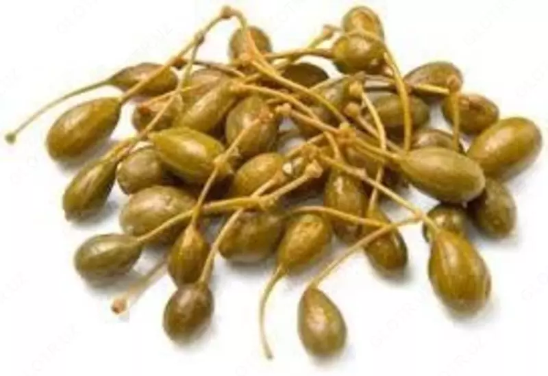 Кавар — это ягодоподобный плод с лекарственными свойствами. - Yashnobod innovatsiya texnoparki