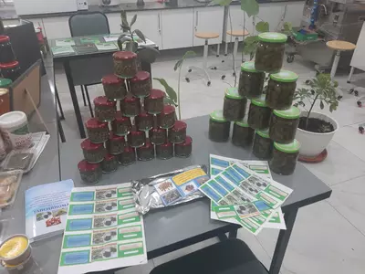 Кавар — это ягодоподобный плод с лекарственными свойствами.