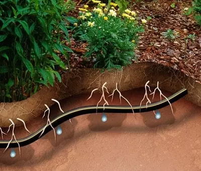 Система орошения