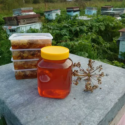 Мёд Asal IFI Group