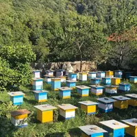 Мёд Asal - Мед