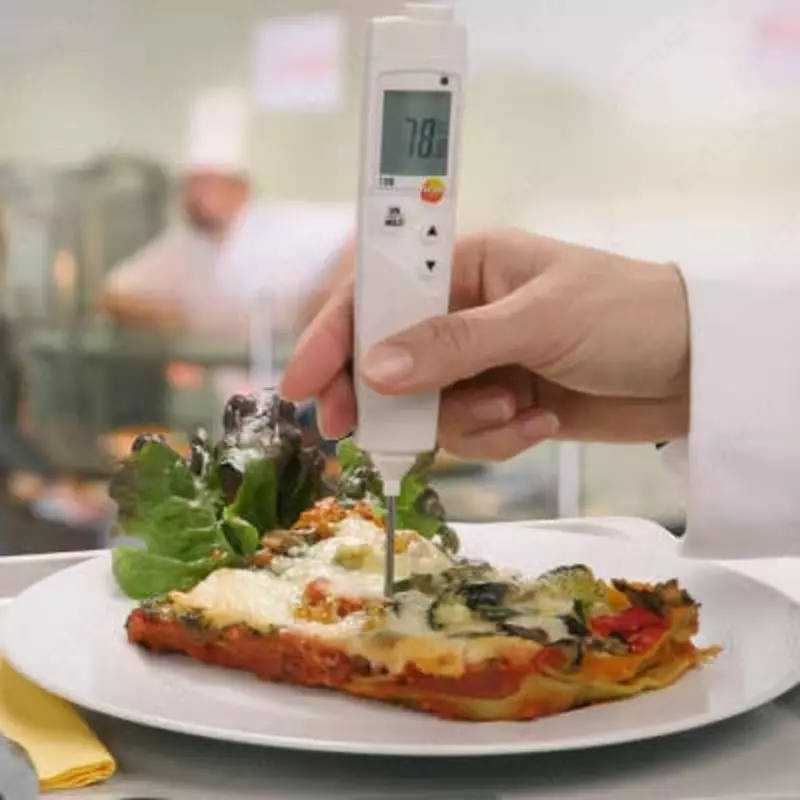 Термометр пищевой Testo 106 с чехлом TopSafe (0563 1063) - 930 000 сум