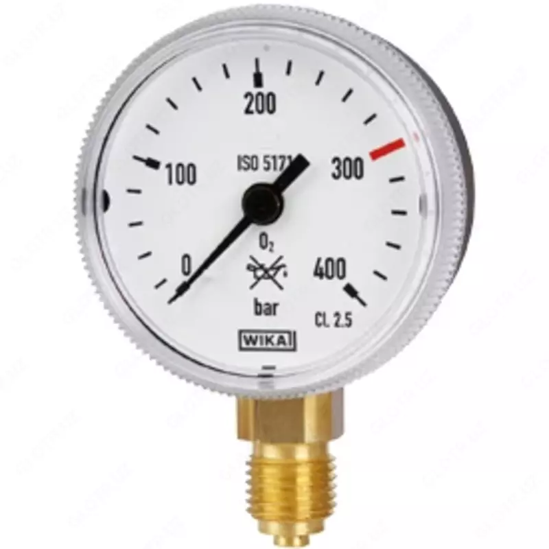 Burdon naychali manometr