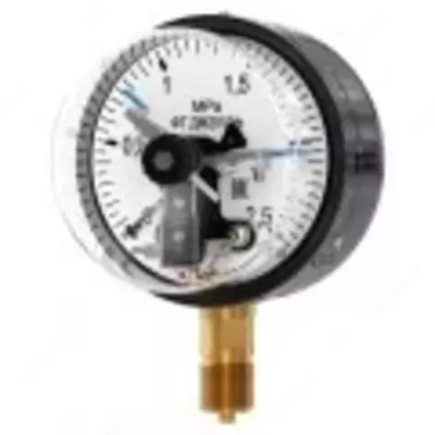 Flanetsli elektrkontaktli manometr DM2010F